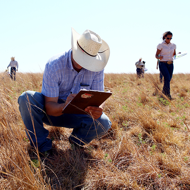 A Ranch Management student examines pasture grass while his classmates do the same in the background.